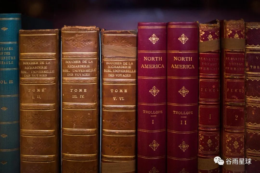 硅谷裁员超过40万，MIT教授的预言成真了  就业 第4张